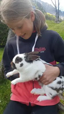 Tiere im Ferienhaus oder in der Nähe