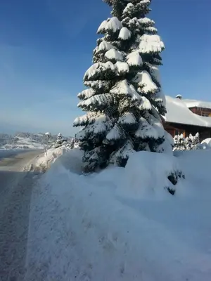 Naturlandschaft in der Nähe des Ferienhauses