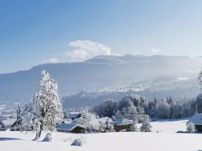 Ferienhaus Troy im Winter