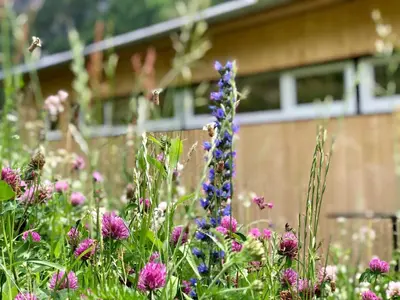 Ein Garten an der Unterkunft Villa Alma Arlberg