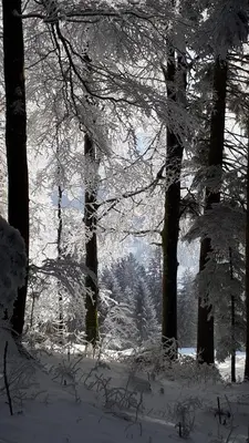 Ferienwohnung Beate im Winter