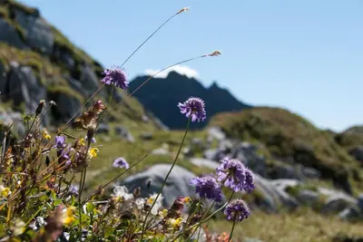 Naturlandschaft in der Nähe des Hostels