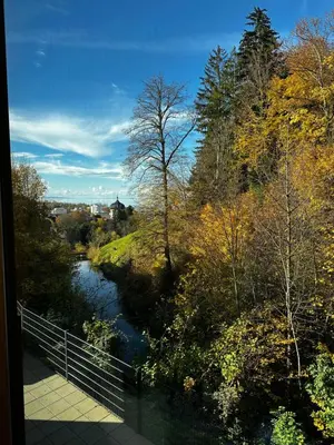 Naturlandschaft in der Nähe der Ferienwohnung