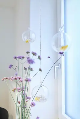 Grundriss der Unterkunft Rotes Haus Bregenz Garten Wohnung