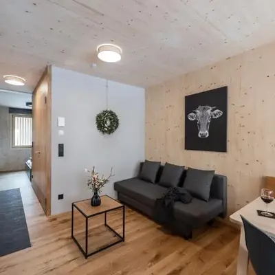 Boutique Apartment Mellau inklusive gefülltem Kühlschrank bei Anreise