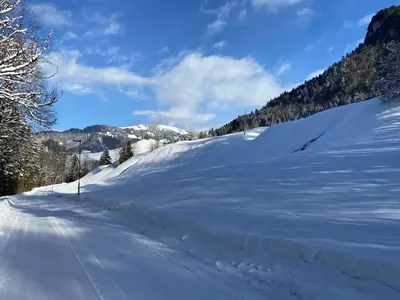 SMART Apartments Mellau im Winter