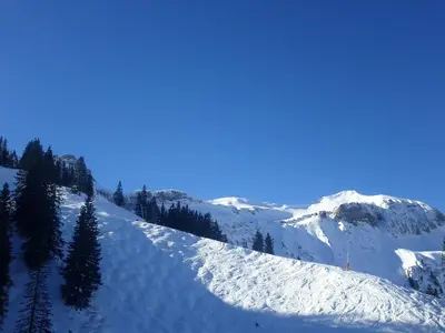 Bizau 361 im Winter