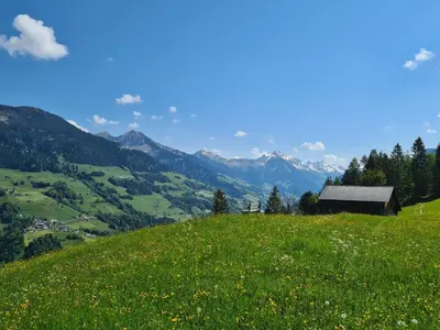Naturlandschaft in der Nähe der Ferienwohnung