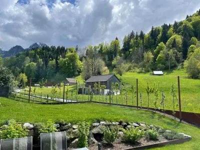 Naturlandschaft in der Nähe der Ferienwohnung