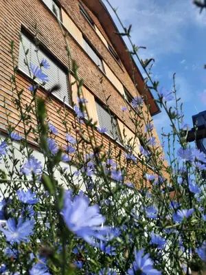 Ein Garten an der Unterkunft Ferienhof Landerleben