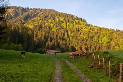 Naturlandschaft in der Nähe der Ferienwohnung