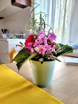 Grundriss der Unterkunft Apartment Sonnenschein