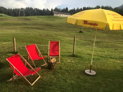 Ein Garten an der Unterkunft Ferienwohnung Morgentau am Rande der Wildnis