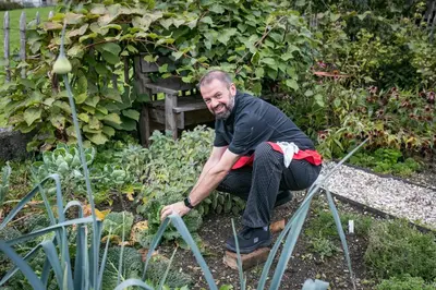 Ein Garten an der Unterkunft Café Pension zum Jäger