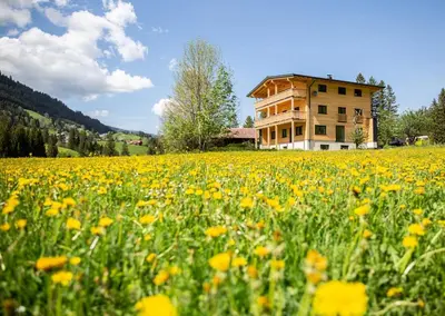 Naturlandschaft in der Nähe der Ferienwohnung