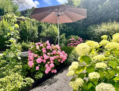 Ein Garten an der Unterkunft Haus4Zimmer - Luxus mit Blick über den Bodensee - mit Garage