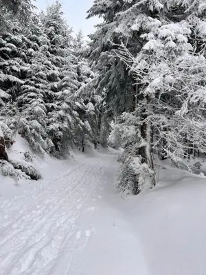 Ferienwohnung Rosenstrasse im Winter