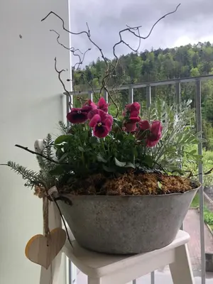 Ein Garten an der Unterkunft Apartments 
