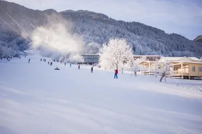 Pinjola im Winter