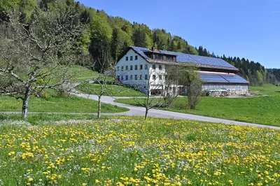 Naturlandschaft in der Nähe der Ferienwohnung