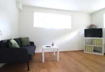 TV/Unterhaltungsangebot in der Unterkunft Montfort Apartments - Feldkirch