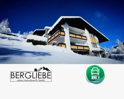 Haus Bergliebe Kleinwalsertal im Winter