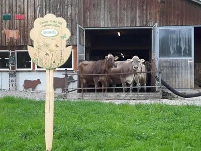 Tiere in der Ferienwohnung oder in der Nähe